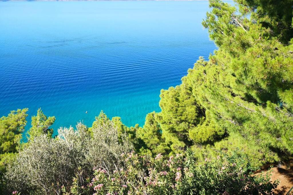 Beautiful Apartment 80 M From The Sea Marusici  Kültér fotó